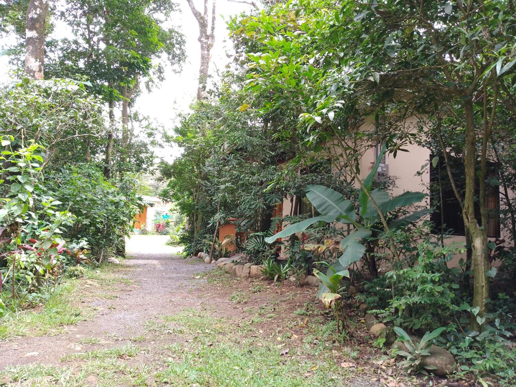 Casitas Del Bosque Monteverde. Værelse billede